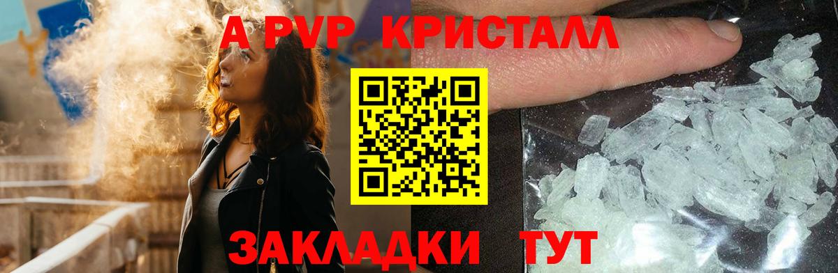 A PVP СК КРИС Междуреченск