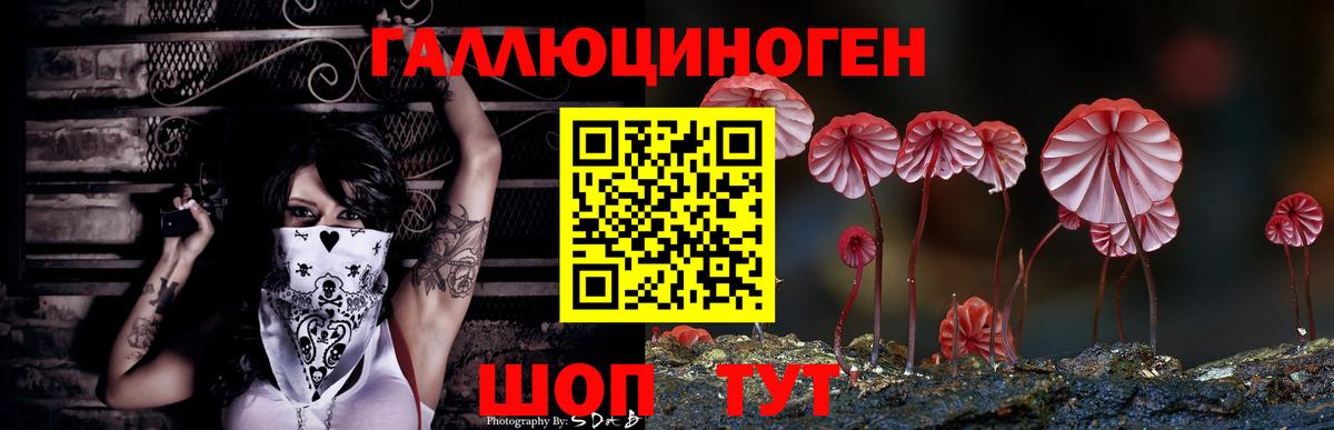 Псилоцибиновые грибы мицелий Междуреченск